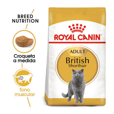 Royal Canin Adult British Shorthair ração para gatos  